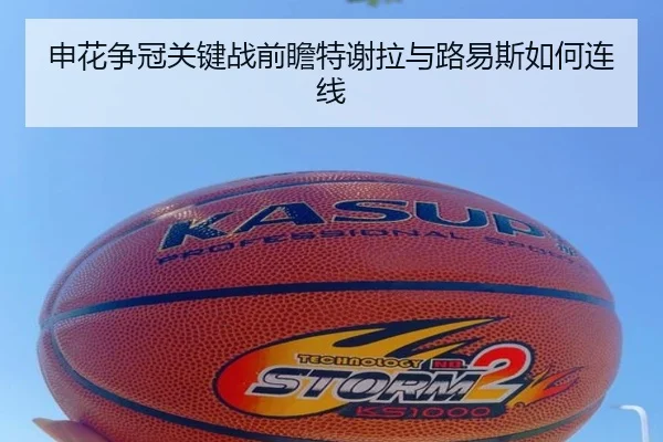 申花争冠关键战前瞻特谢拉与路易斯如何连线