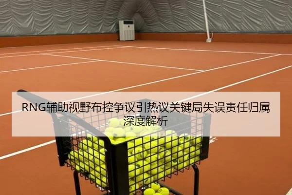 RNG辅助视野布控争议引热议关键局失误责任归属深度解析